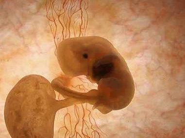 2026年国内无结婚证在江西省妇幼做试管的费用贵吗？十二万够吗？